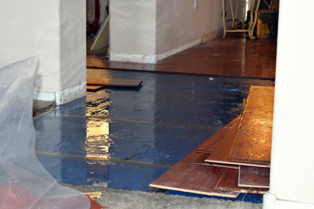 Professional Water Damage Repair technician working in Rye, TX